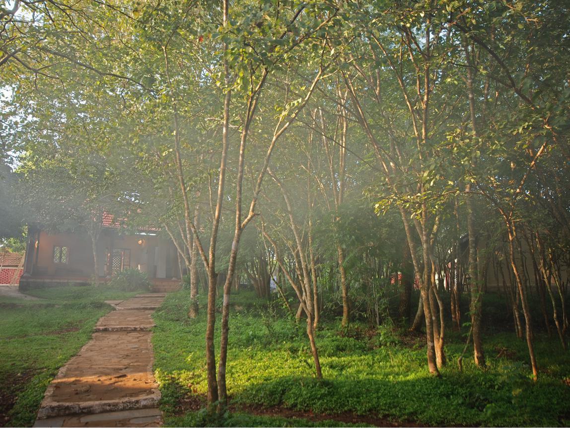 The Windflower Jungle Resort & Spa, Bandipur Bandipūr Exterior foto